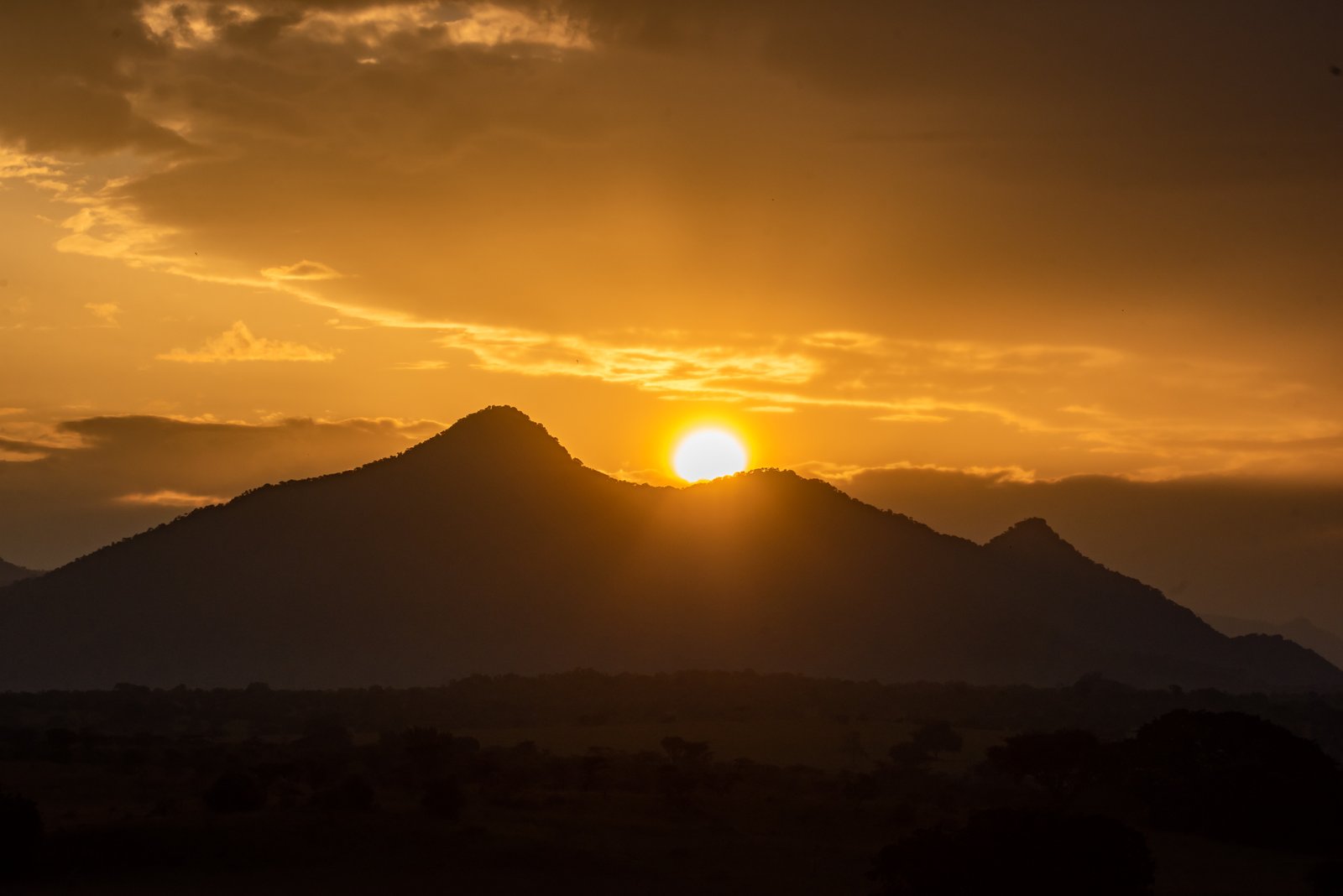 4 Day Uganda Birding Safari, Sesse Islands Kampala