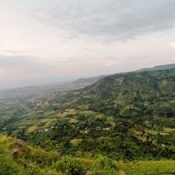KAB_0219