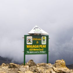 TTP23Elgon-73